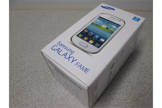 Samsung Galaxy Fame S6810p User Manual